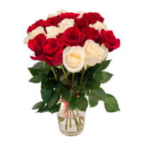 Бело-красный микс