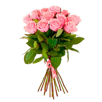 11 розовых роз